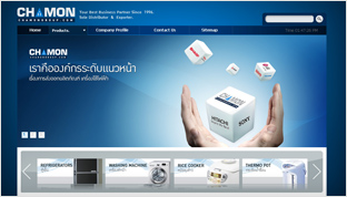 D-netsolution.com